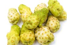 נוני (Morinda citrifolia)