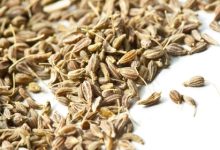 אניס (pimpinella anisum)