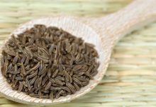 קימל/כרויה תרבותית (Carum carvi)