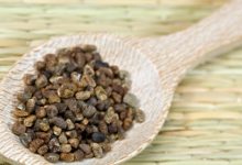 הל/ קרדמון (elettaria cardamomum)