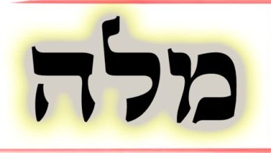 תורת הקבלה: ע"ב שמות. משמעות צרוף האותיות- מ.ל.ה