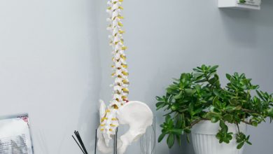 טיפולי כירופקטיקה לכאבי גב תחתון