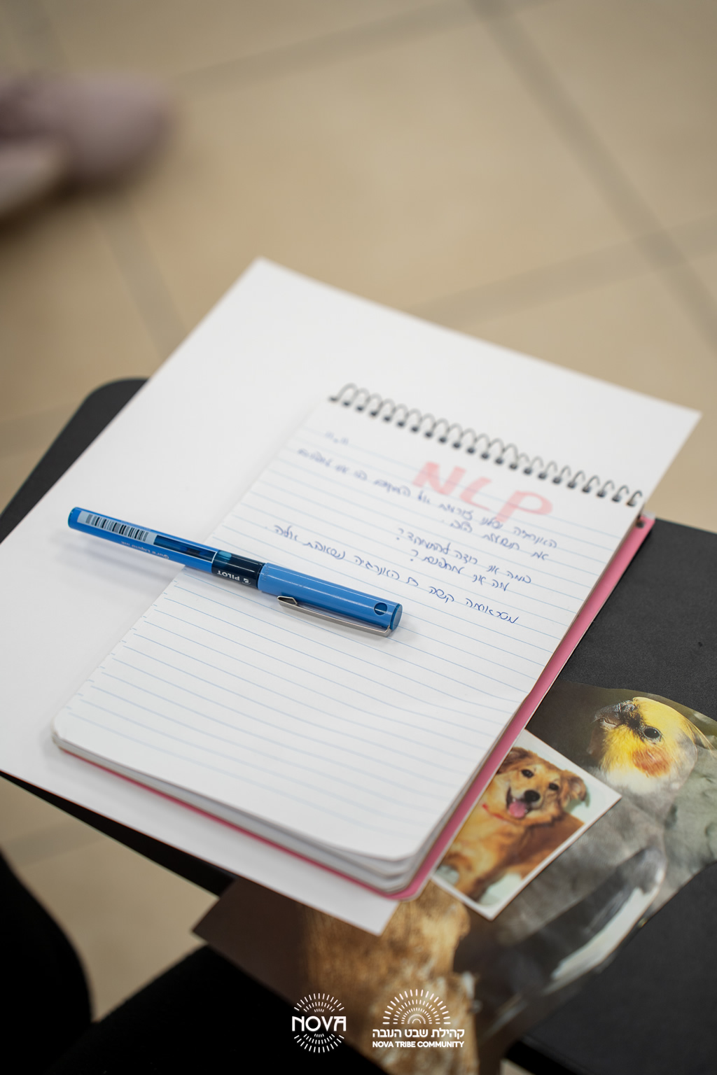 צילום: יוראי הר לבן